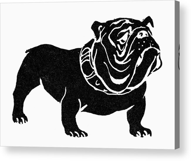 Bulldog Acrylic Print featuring the photograph Symbol: Bulldog by Granger