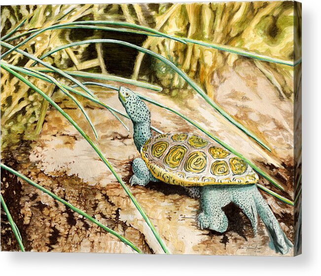 Turtle Acrylic Print featuring the painting Terrapin Tenacity by Thomas Hamm
