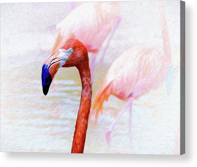 John+kolenberg Acrylic Print featuring the photograph The Flamingo by John Kolenberg