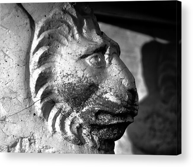 Fine Art Photography Acrylic Print featuring the photograph The Old Lion by David Lee Thompson