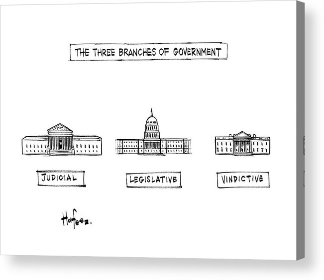 Government Acrylic Print featuring the drawing The Three Branches of Government by Kaamran Hafeez