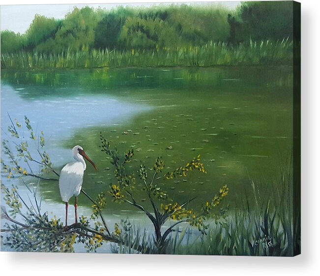 Florida Wetlands Acrylic Print featuring the painting The Watchman by Connie Rish