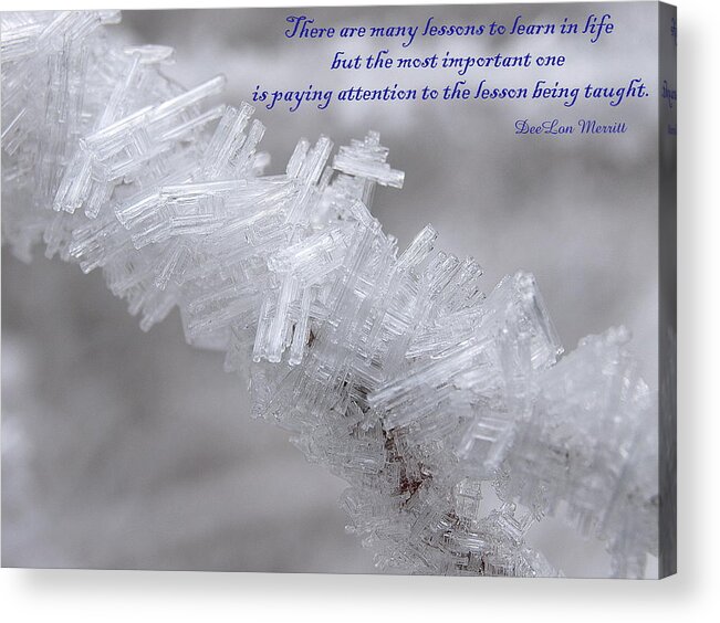 Winter Acrylic Print featuring the photograph There Are Many Lessons To Learn... by DeeLon Merritt