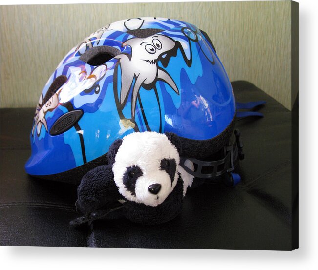 Baby Panda Acrylic Print featuring the photograph This helmet is so heavy Ugh by Ausra Huntington nee Paulauskaite