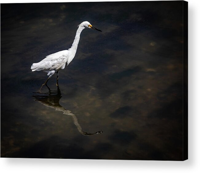 Egret Acrylic Print featuring the photograph Tidal Creek Egret Charleston Lowcountry by Donnie Whitaker