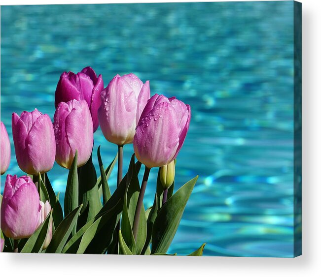 Tulips At Water Acrylic Print featuring the photograph Tulips At Water by Yuri Tomashevi