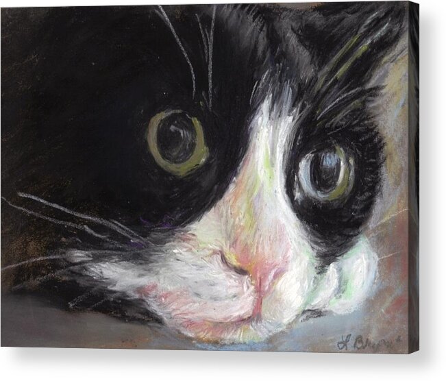 Cat Acrylic Print featuring the pastel Tuxedo Cat by Linda Bryant