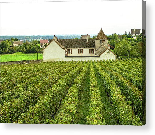 Vineyard Acrylic Print featuring the photograph Vineyard in France by Jim Mathis