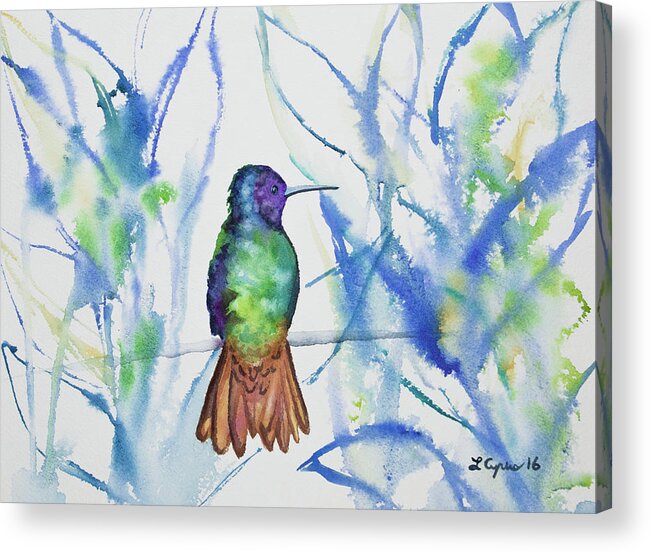 Golden-tailed Sapphire Acrylic Print featuring the painting Watercolor - Golden-tailed Sapphire by Cascade Colors