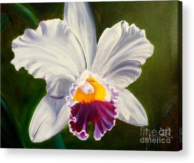 Orchid Acrylic Print featuring the painting White Orchid by Jenny Lee