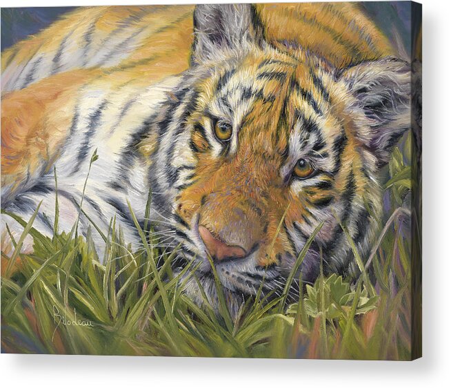 Tiger Acrylic Print featuring the painting Wild Beauty by Lucie Bilodeau