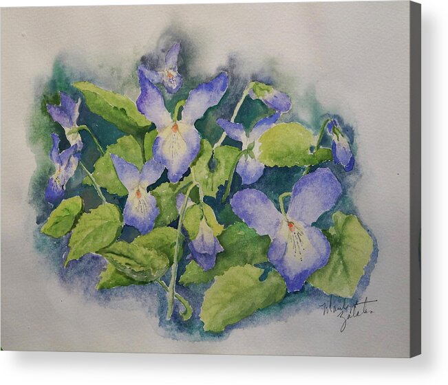 Floral Acrylic Print featuring the painting Wild Violets by Marilyn Zalatan