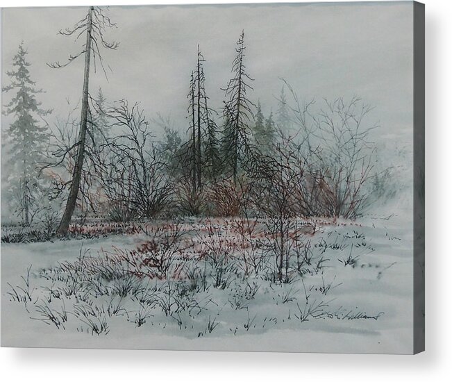 Pen And Wash Acrylic Print featuring the painting Winter, Alberta by E Colin Williams ARCA