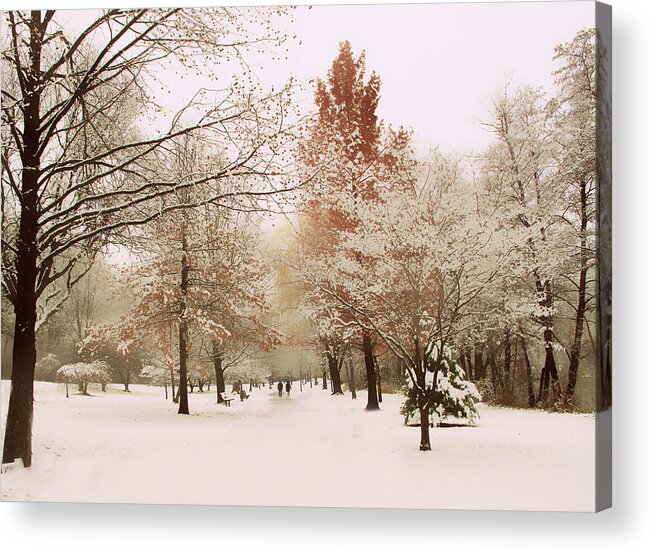 Winter Acrylic Print featuring the photograph Winter Park by Jessica Jenney