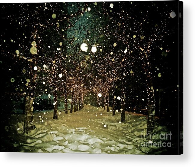 Trees Acrylic Print featuring the photograph Winter Wonderland - New York by Debra Banks