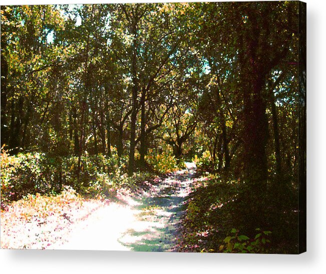 Trail Acrylic Print featuring the photograph Woodsy Trail by Ginny Schmidt