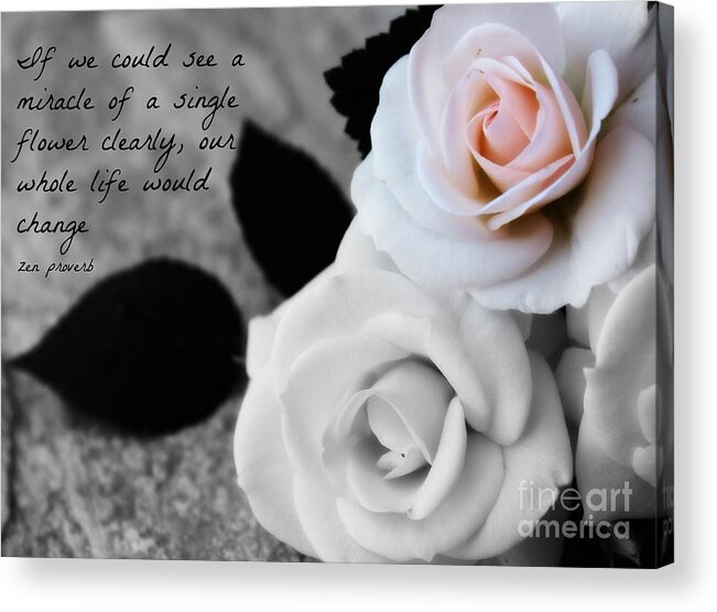 Zen Proverb Acrylic Print featuring the photograph Zen Proverb 5 by Clare Bevan