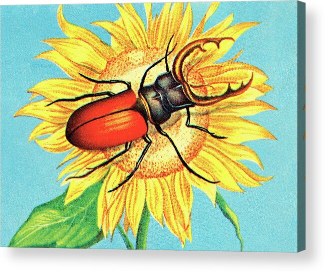 Animal Acrylic Print featuring the drawing Insect #36 by CSA Images