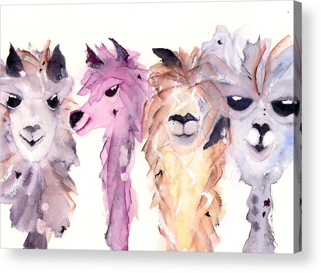 Alpaca Art Acrylic Print featuring the painting 4 Alpacas by Dawn Derman