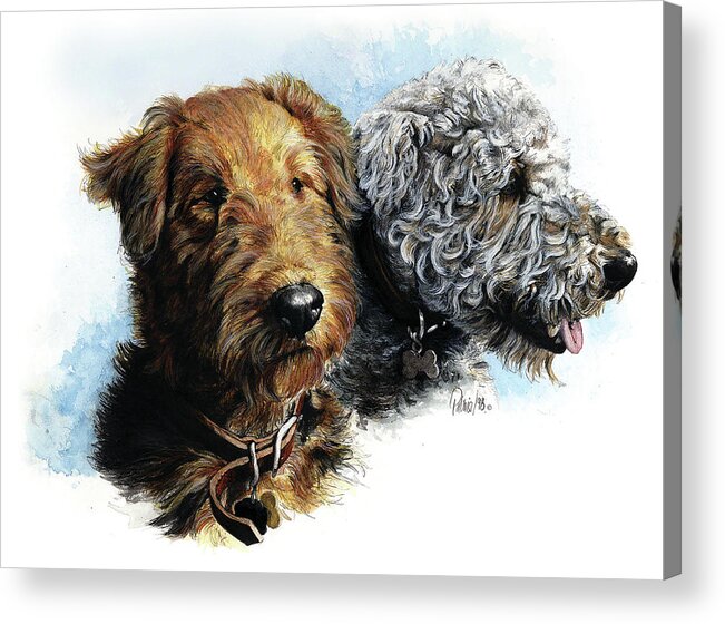 Watercolour Art By Patrice Acrylic Print featuring the painting Airedales #2 by Patrice Clarkson
