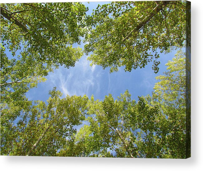 Environmental Conservation Acrylic Print featuring the photograph Alamo Sky by Tioloco