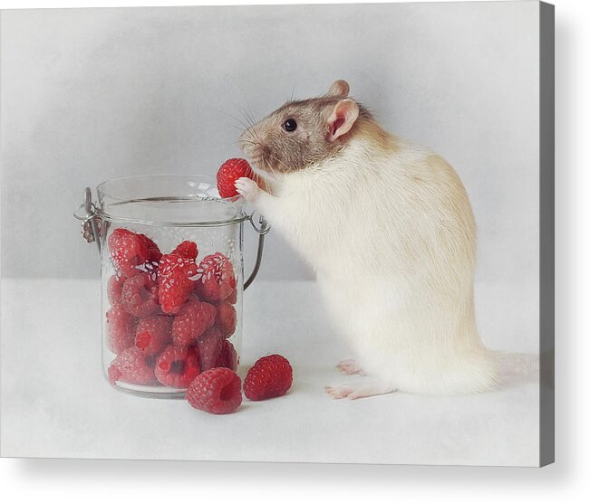 Mouse Acrylic Print featuring the photograph Always Eat Healthy :) by Ellen Van Deelen