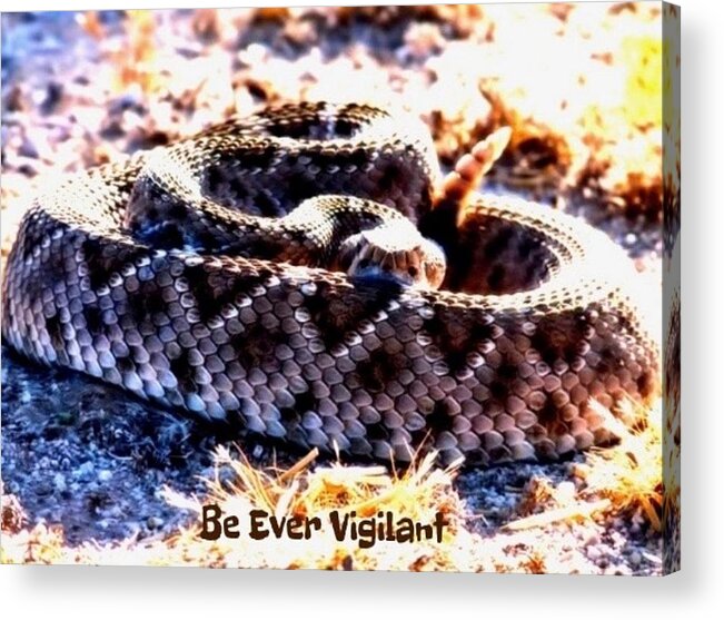Adage Acrylic Print featuring the photograph Be Ever Vigilant 2 by Judy Kennedy