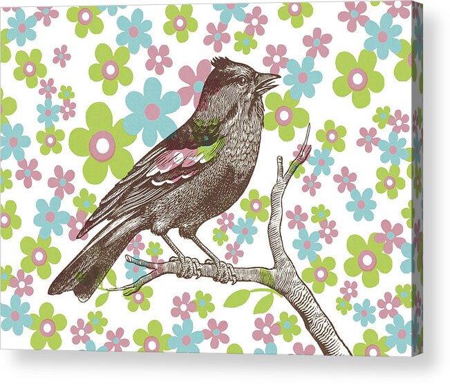 Background Acrylic Print featuring the drawing Bird on Floral Background by CSA Images
