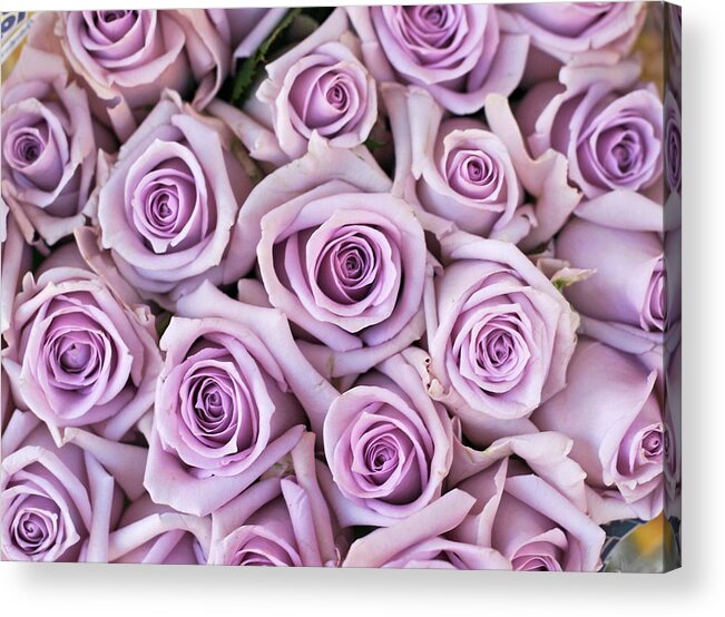 Purple Acrylic Print featuring the photograph Bouquet Of Lilac Colored Roses by Bruceblock