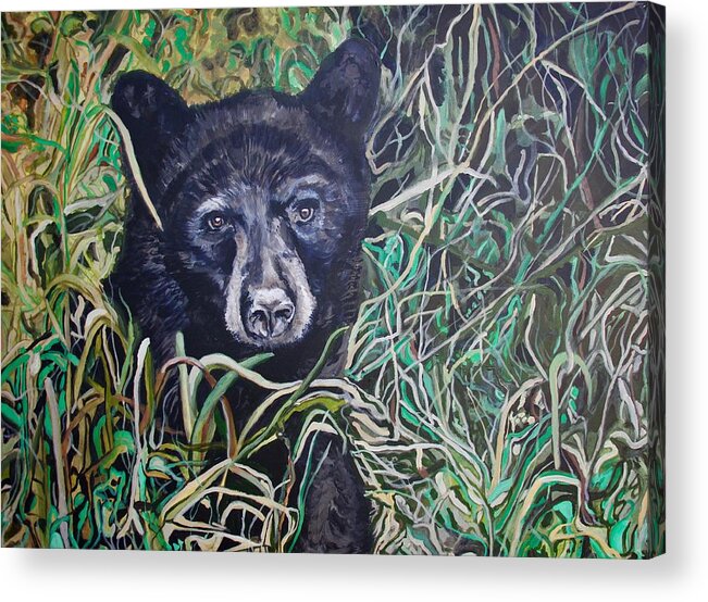 Black Bear Acrylic Print featuring the painting Buford by Tom Roderick