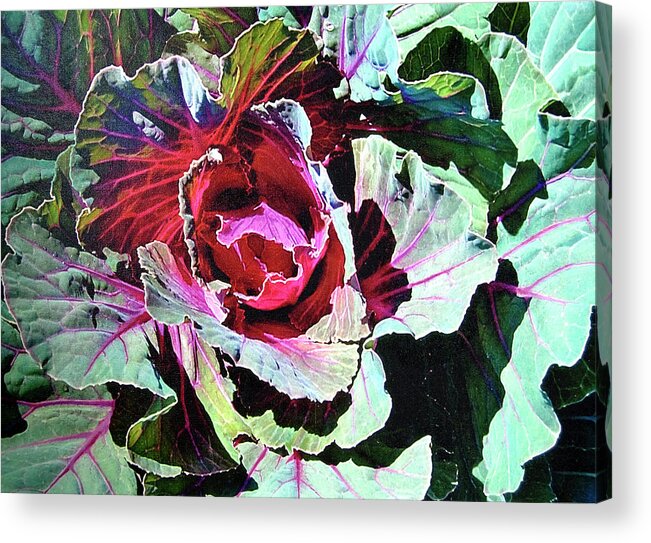 Still-life Acrylic Print featuring the painting Cabbage by John Dyess