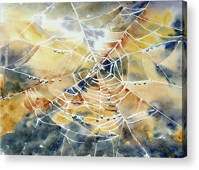 Watercolor Paints Acrylic Print featuring the photograph Cobweb Spiderweb by By Doris Jung-rosu