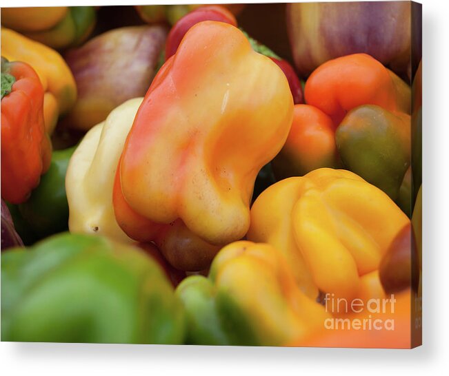 Green Acrylic Print featuring the photograph Colorful Bell peppers by Christy Garavetto