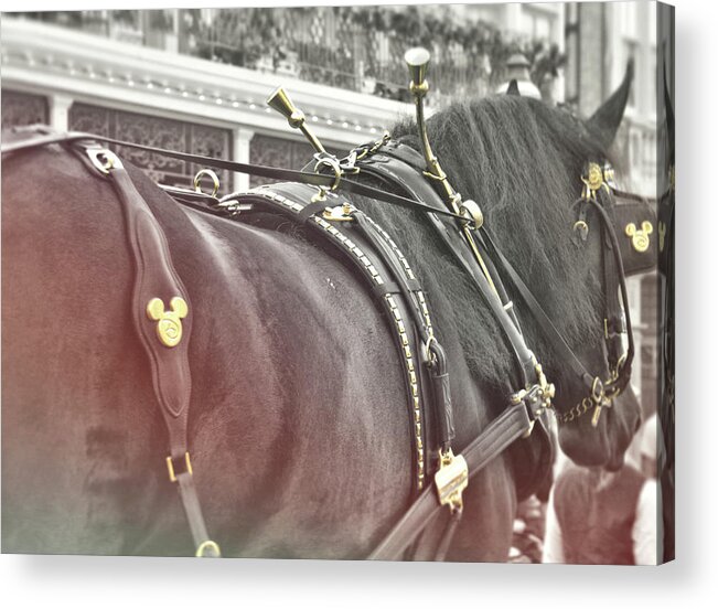 Beautiful Acrylic Print featuring the photograph Disney Steed by Jamart Photography
