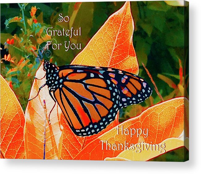 Fall Monarch Thanksgiving Photo Illustration Card Acrylic Print featuring the photograph Fall Monarch Thanksgiving by Debra Grace Addison