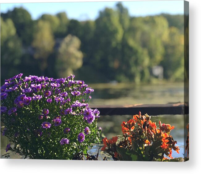 Flowers Acrylic Print featuring the photograph Fall Porch by Tom Johnson