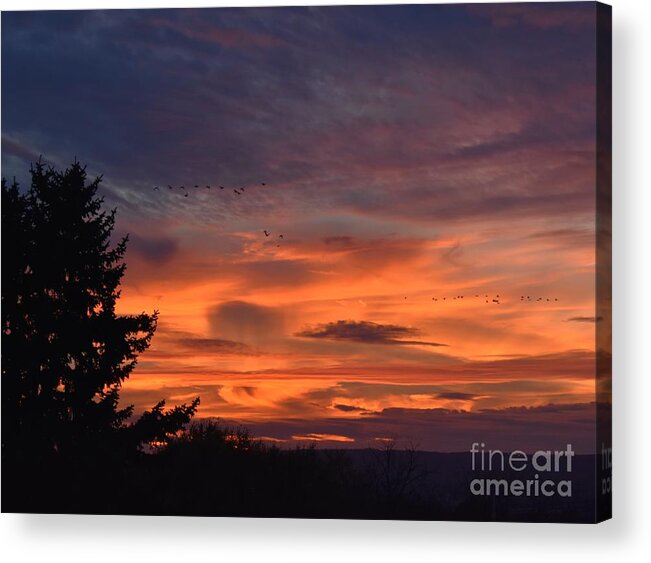 Sky Acrylic Print featuring the photograph Flying High by Christina Verdgeline