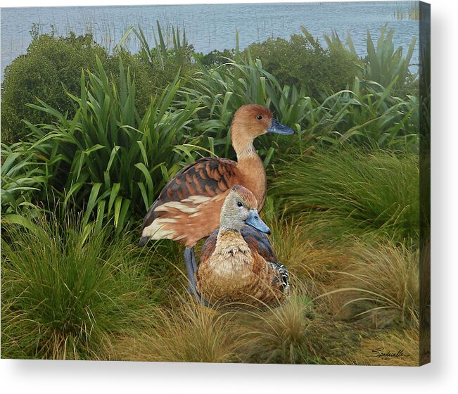 Duck Acrylic Print featuring the digital art Fulvous Whistling Ducks by M Spadecaller