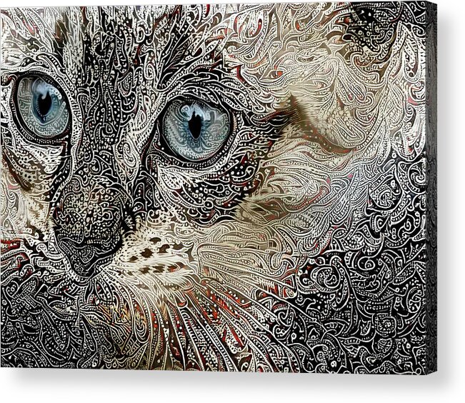Siamese Cat Acrylic Print featuring the digital art Gypsy the Siamese Kitten by Peggy Collins