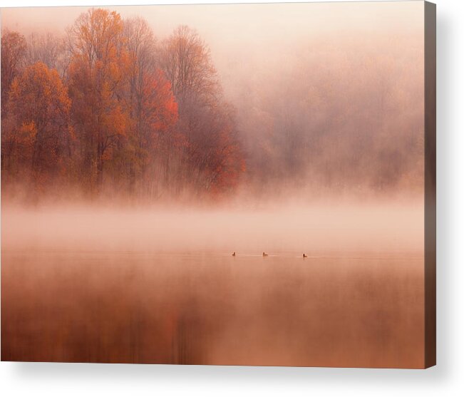 Scenics Acrylic Print featuring the photograph Hopewell Lake, French Creek State Park by Michael Lawrence Photography