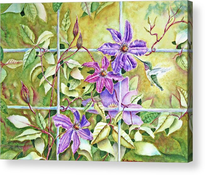 Hummingbird Acrylic Print featuring the painting Hummingbird and Clematis by Kathryn Duncan