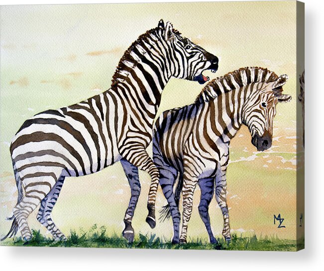 Zebra Acrylic Print featuring the painting I Want My Space by Margaret Zabor