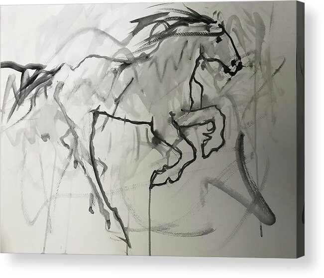 Horse Acrylic Print featuring the painting Img_3086 by Elizabeth Parashis