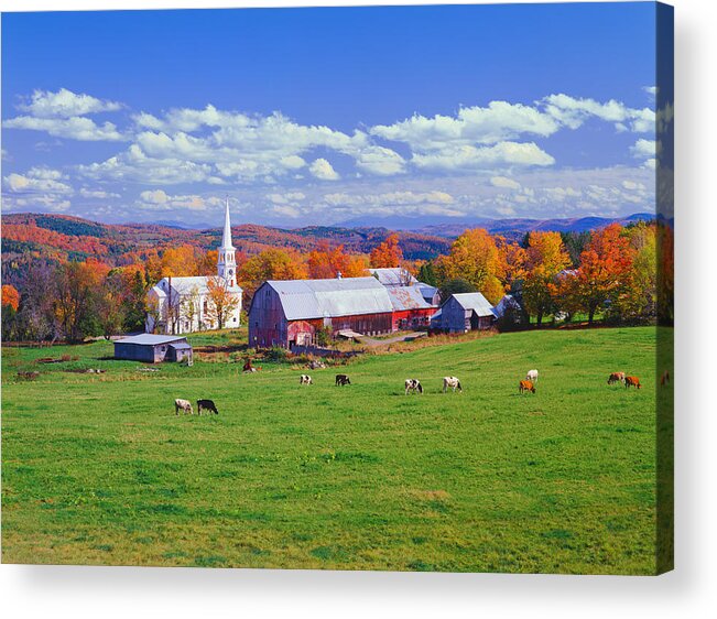 Scenics Acrylic Print featuring the photograph Lush Autumn Countryside In Vermont With by Ron thomas