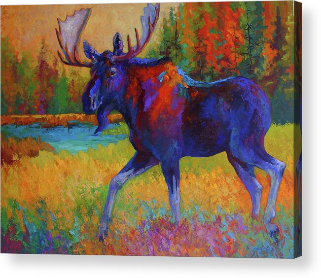 Majestic Moose Acrylic Print featuring the painting Majestic Moose by Marion Rose