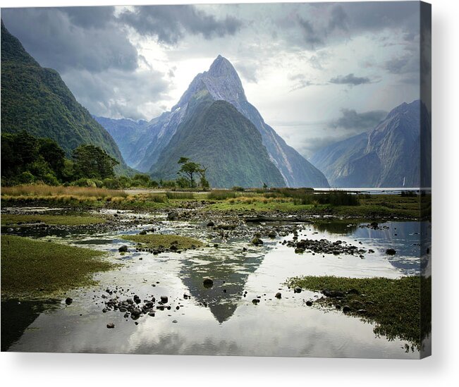 Tranquil Scene Acrylic Print featuring the photograph Milford Sound, South Island, New Zealand by Ed Freeman