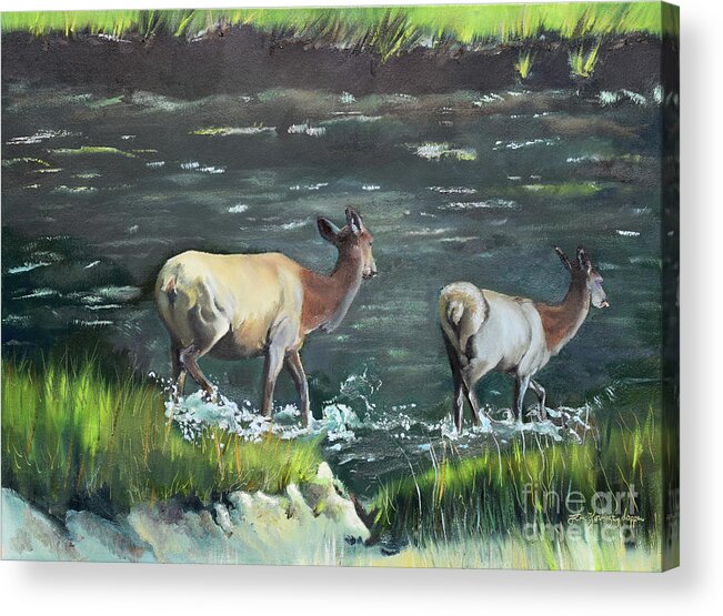 Elk Acrylic Print featuring the painting Mother Elk and Calf by Jan Dappen