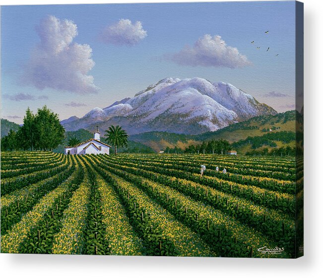 Fields And Farm House In Napa Valley Acrylic Print featuring the painting Mount Sta Helena - Napa Valley by Eduardo Camoes