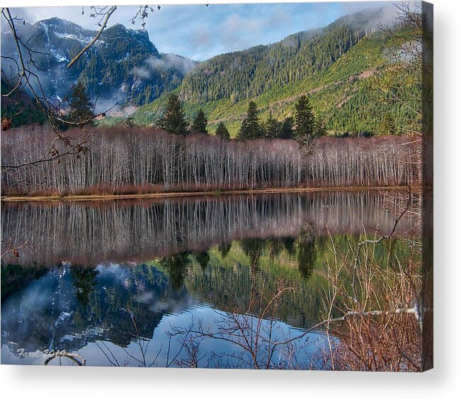 Vancouver Island Acrylic Print featuring the photograph Mountain Lake Reflections by Farol Tomson