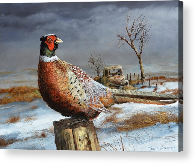 Old Perch Acrylic Print featuring the painting Old Perch by Trevor V. Swanson